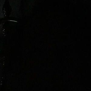 Meet your Posher, Al